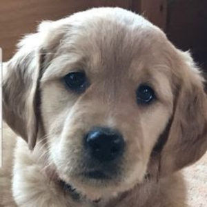 Meet your Posher, Aimee